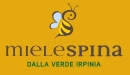 Logo Mielespina